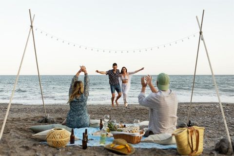 Beach Adventure Picnics Overview: Basics, Ideas & Helpful Tips