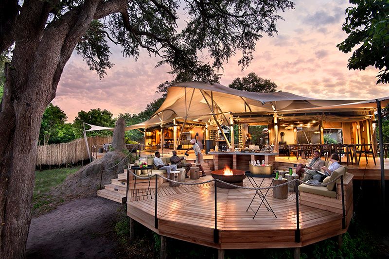 Luxury Safari Lodges Explained: Basics, Insights, and Helpful Resources to Learn More